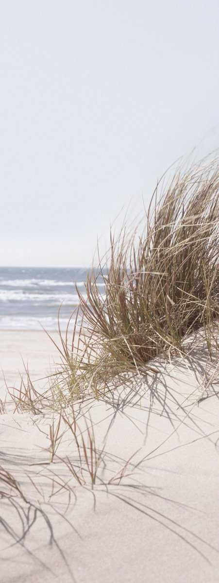 glasbild strand sea of dunes