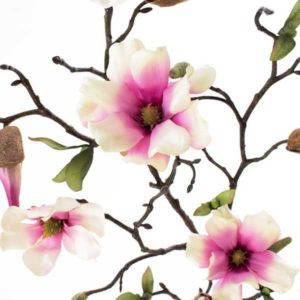 Deko Magnolienzweig Details Blüte